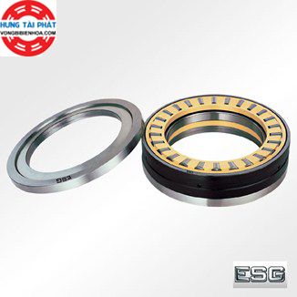 VÒNG BI 829244 - ESG
