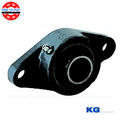 VÒNG BI UCFL 207 - KG