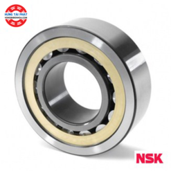 VÒNG BI NU 310 EW - NSK