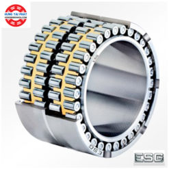 VÒNG BI 305256D - ESG